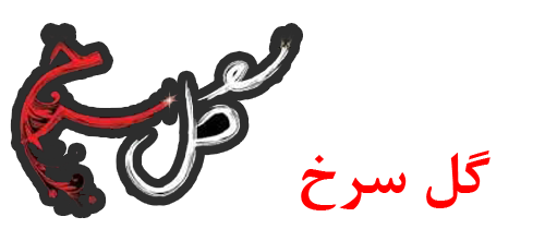 لوگوی فست فود 